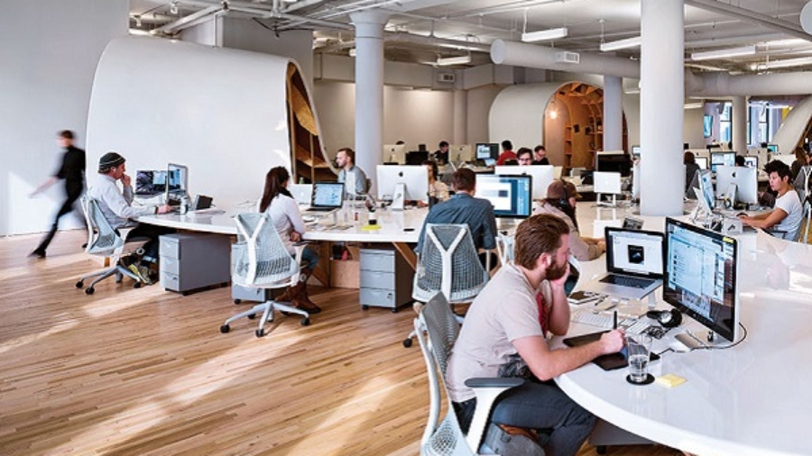 NET275.feed_workspace.BarbarianGroup_INSET 692f2d6723e548688d902